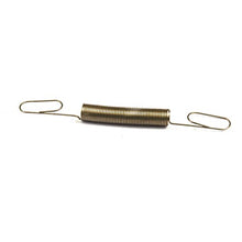 Load image into Gallery viewer, Briggs & Stratton 691859 Governed Idle Spring Replaces 263109