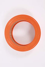 Load image into Gallery viewer, Briggs & Stratton 692519 Lawn & Garden Equipment Engine Air Filter Genuine Original Equipment Manufacturer (OEM) Part