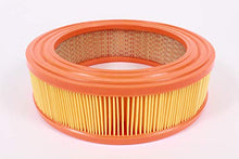 Load image into Gallery viewer, Briggs & Stratton 692519 Lawn & Garden Equipment Engine Air Filter Genuine Original Equipment Manufacturer (OEM) Part