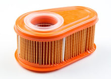 Load image into Gallery viewer, Briggs & Stratton 792038 Air Cleaner Cartridge Filter