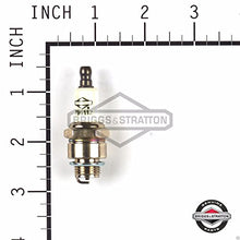 Load image into Gallery viewer, Briggs & Stratton 796112S Spark Plug Replaces 4220/8025925/796112
