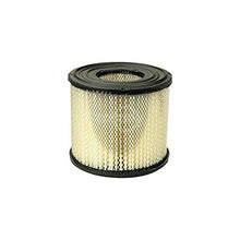 Load image into Gallery viewer, Replacement Air Filter Cartridge Plus Pre-Filter For Briggs & Stratton 393957, 393957S, 390930: Pre-Filter 271794, 270782