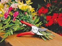 Load image into Gallery viewer, Wolf-Garten RREN Bypass Secateurs, Red, 39.5x7.84x3 cm