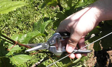 Load image into Gallery viewer, Barnel A3001S 7.5-inch Ergonomic Straight-blade Needlenose Shears