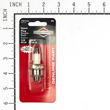 Load image into Gallery viewer, Briggs & Stratton 5095K L-Head Engine Spark Plug