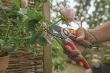 Load image into Gallery viewer, Wolf-Garten RR5000 Professional Bypass Aluminium Secateurs, Red, 31.5x4.7x2.8 cm