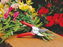 Load image into Gallery viewer, Wolf-Garten RREN Bypass Secateurs, Red, 39.5x7.84x3 cm