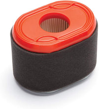 Load image into Gallery viewer, Briggs & Stratton 796970 Air Cleaner Cartridge Filter