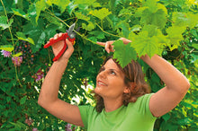 Load image into Gallery viewer, Wolf-Garten RS2500 Anvil Secateurs, Red, 29x3.8x2.8 cm