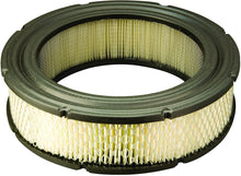 Load image into Gallery viewer, Genuine Briggs & Stratton 692519 Round Air Filter Cartridge