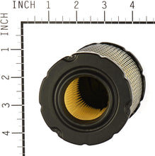 Load image into Gallery viewer, Briggs & Stratton 793569 Round Air Filter Cartridge