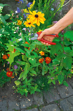 Load image into Gallery viewer, Wolf-Garten RS2500 Anvil Secateurs, Red, 29x3.8x2.8 cm