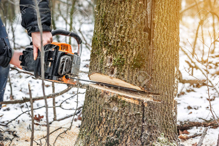 CHAINSAW SAFETY GUIDE