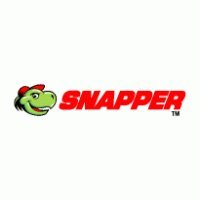 Snapper Replacement Part # 7023966YP pulley, idler, 4