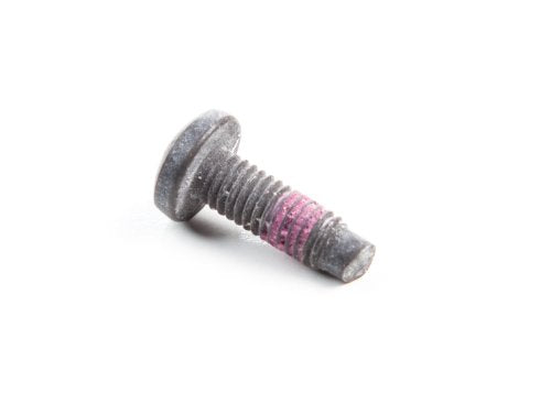 Briggs & Stratton 790029 Screw Replacement Part