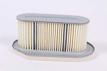 Load image into Gallery viewer, Kawasaki Engine Replacement Part # 11013-2132 ELEMENT-AIR FILTER
