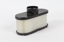 Load image into Gallery viewer, Kawasaki 11013-0752 Lawn Mower Air Filter Genuine Original Equipment Manufacturer (OEM) Part
