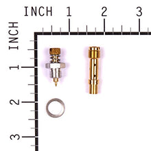 Load image into Gallery viewer, Briggs and Stratton 396795 Needle Valve Kit
