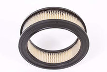Load image into Gallery viewer, Air Filter For Kohler 235116, Case A70090, C-28883, Cub Cadet 385168R1, Gravely 10900, John Deere AM31400
