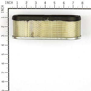 Briggs & Stratton 691667 Oval Air Filter Cartridge,White