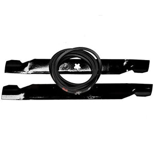 Mower Blades & Belt for 42" Craftsman LT1000 LT2000 Deck fits 144959, 138971, 134149, 138791
