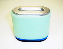 Load image into Gallery viewer, Briggs &amp; Stratton Air Filter Plus Pre-Filter Air Filter 692446, Pre-Filter 273356 or 273356S.

