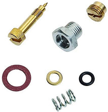 Load image into Gallery viewer, Raisman Float Valve Kit Replaces Briggs &amp; Stratton 299060
