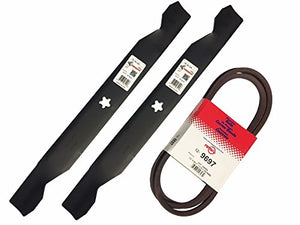 42" Deck Blade and Belt Combo Compatible with Craftsman LT1000 Includes (2) 21" Blades Compatible with 138971/138498 / 127843 and (1) Belt 1/2" X 95"-1/2" 144959/24690 / 531300766/532144959