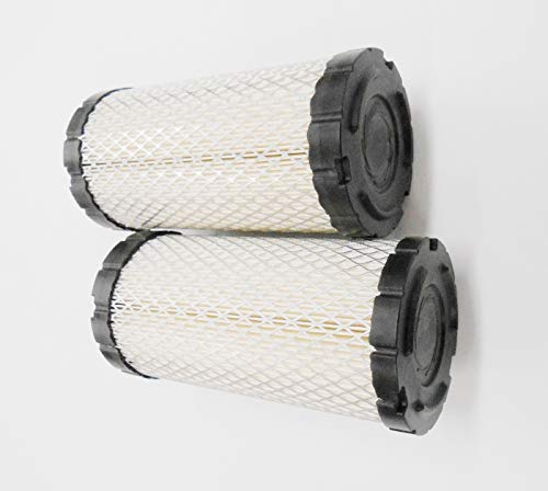 Rotary 2 Pack Air Filters, Compatible with Kohler 25-083-02S, 25 083 02, 2508302S, M113621 M807331 MIU10783, Onan 0140-9071, Toro 108-3811 93-219