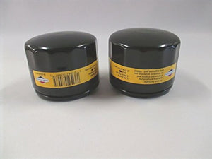 Briggs & Stratton 492932S Oil Filter (2 Pack)