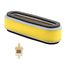 Load image into Gallery viewer, 17210-ZE6-505 Air Filter for Honda GXV160 GV150 GV200 GXV120 HP400 HR194 HR195 HR21 HR214 HR215 HR21 HRA21 HRA214 HRA215 HRC215 Lawn Mower with Fuel Filter
