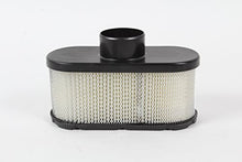 Load image into Gallery viewer, Kawasaki 11013-0752 Lawn Mower Air Filter Genuine Original Equipment Manufacturer (OEM) Part
