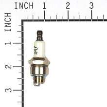 Load image into Gallery viewer, Briggs &amp; Stratton 796112S Spark Plug Replaces 4220/8025925/796112
