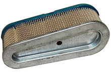 Load image into Gallery viewer, BS-Filter-493910 Air Filter for 257700/259700/28A700/28C700 series Briggs &amp; Stratton Engine Parts
