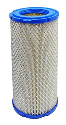 Kawasaki Replacement Air Filter 11013-7020