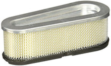 Load image into Gallery viewer, Briggs &amp; Stratton 691667 Oval Air Filter Cartridge,White
