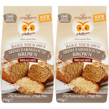 Load image into Gallery viewer, Odlums Quick Bread Irish Farmhouse Bread Mix, 2 bags, 450g (15.9oz) per bag.
