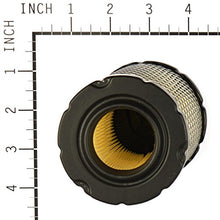 Load image into Gallery viewer, Briggs &amp; Stratton 793569 Round Air Filter Cartridge
