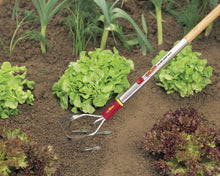 Load image into Gallery viewer, Online Garden Centre Narcissus Pinafore 5 In Pack
