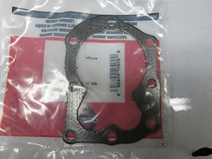 BRIGGS CYLINDER HEAD GASKET PART# 698717 ;supply_from:killian3790