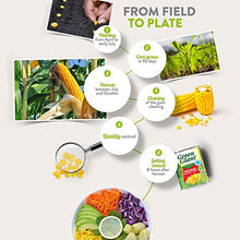 Load image into Gallery viewer, Green Giant Salt Free Naturally Sweet Sweetcorn, 340g
