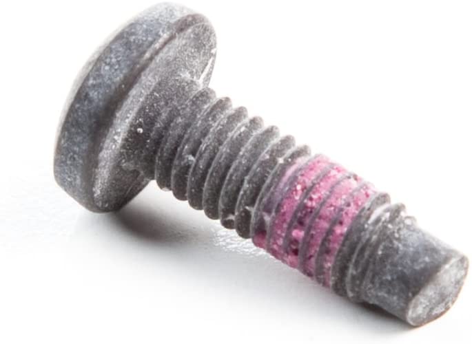 Briggs & Stratton 790029 Screw Replacement Part