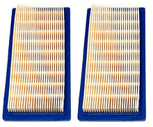 Load image into Gallery viewer, Briggs &amp; Stratton 2 Pack Air Filters 494511, 494511S

