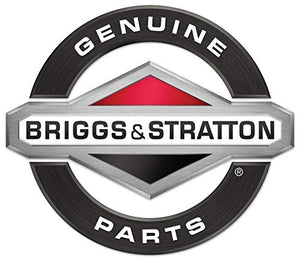 Briggs & Stratton 492932S Oil Filter (2 Pack)