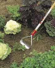 Load image into Gallery viewer, Wolf-Garten 3226000 RF-M-Hand Tool Push-Pull Weeder
