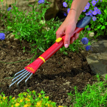 Load image into Gallery viewer, Online Garden Centre Nerine Alba Ella K Bulbs 2 In Pack
