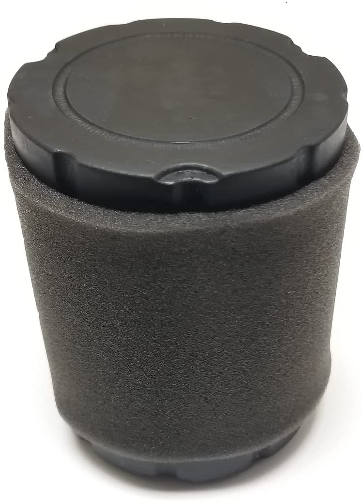 Briggs & Stratton Air Filter + Pre-Filter Air Filter 796032, 591583, Pre-Filter 798911