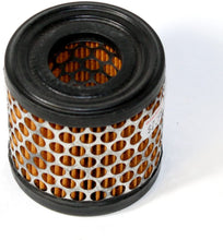 Load image into Gallery viewer, Rotary #9533 Replacement Tecumseh Air Filter 34700
