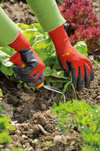 Load image into Gallery viewer, Wolf Garten GHBO10 Washable Soil Care Gloves
