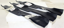Load image into Gallery viewer, Rotary 54&quot; 13623 Mulching Lawnmower Blade Set Hustler Excel Big Dog 797704
